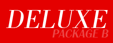 Shining Knight Auto & Boat Detailing Deluxe Package B